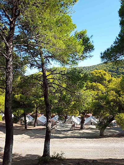 Ταπητοκαθαριστήρια Ήλιος - Μιχάλης Γαβαλάς